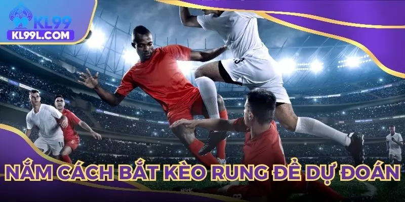 Nắm rõ cách bắt kèo rung để đưa ra nhận định chuẩn xác