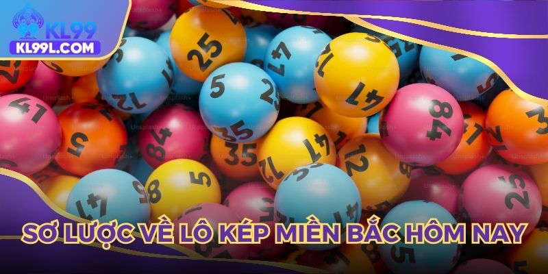 Sơ lược về lô kép miền bắc hôm nay